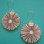 Seashell Spider Shell Earrings
