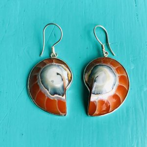 Orange Nautilus Earrings