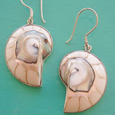 Nautilus Earrings white