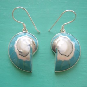 Nautilus Earrings Turquoise