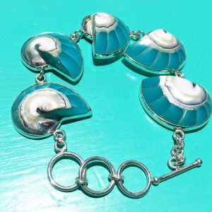 Turquoise Nautilus Bracelet