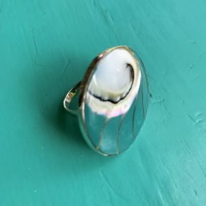 Round Turquoise Nautilus Ring small