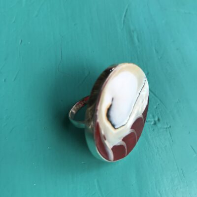 Round Red Nautilus Ring Small