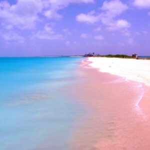 Barbuda Pink Sand